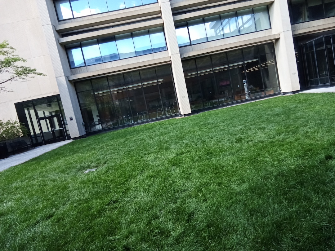 Photo of a rain garden that absorbs the water to make plants grow.