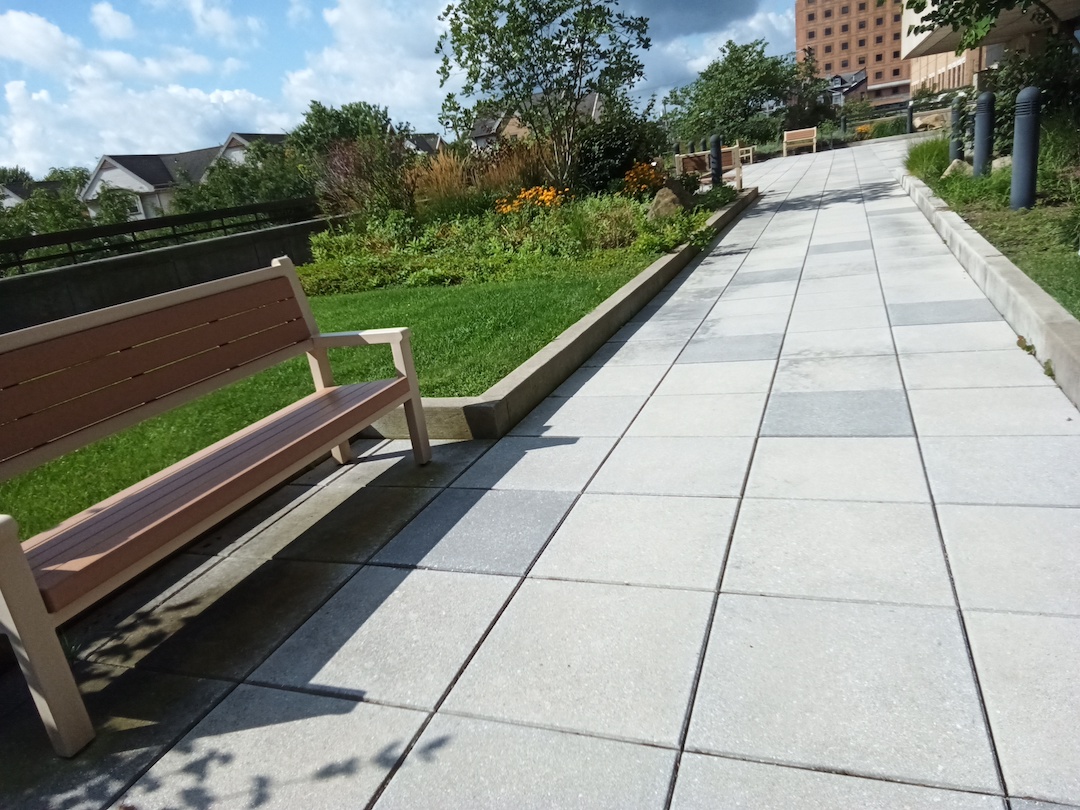 Photo of a pollinator garden. A garden that attracts pollinators to pollinate the gardens